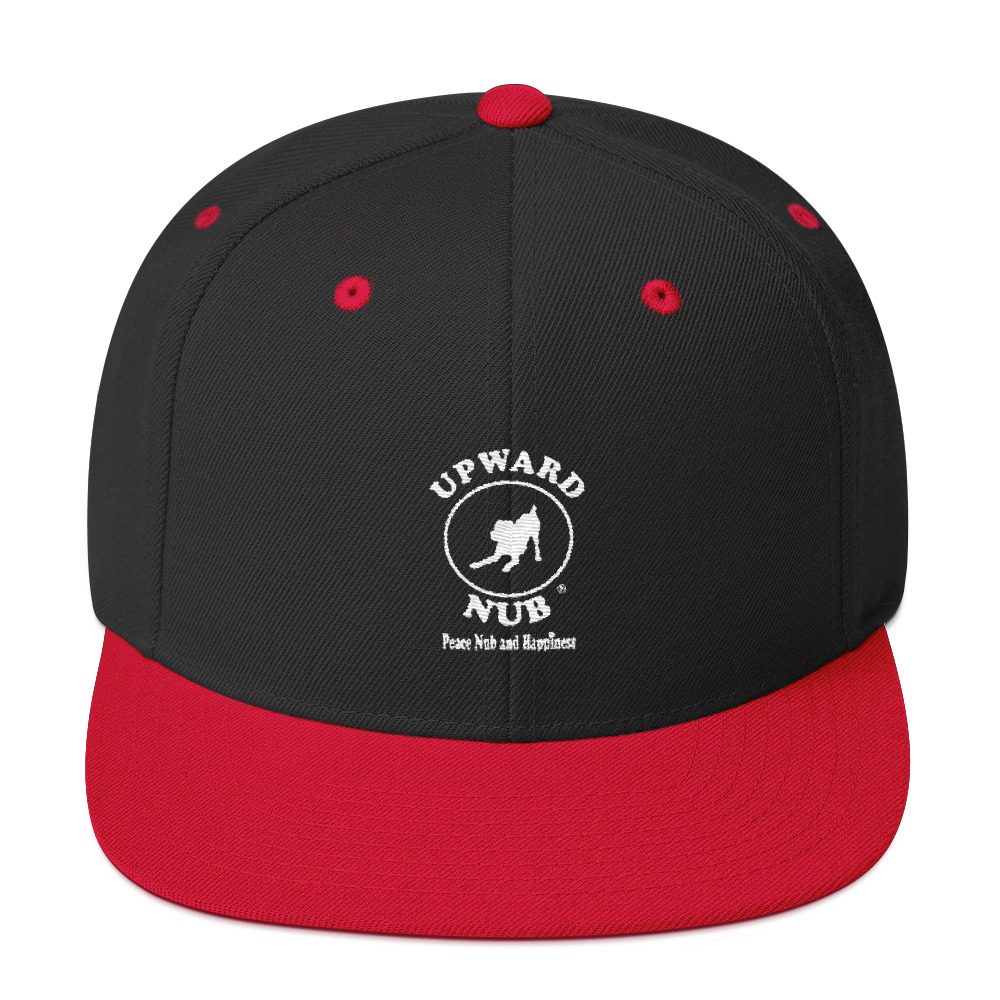 Snapback Hat - Image 5