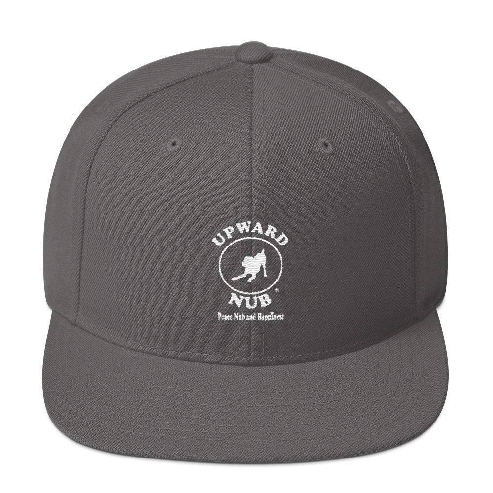 Snapback Hat - Image 13