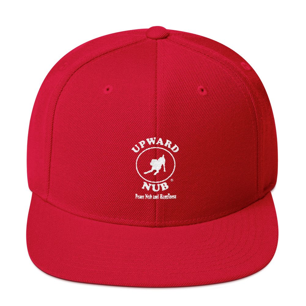 Snapback Hat - Image 29