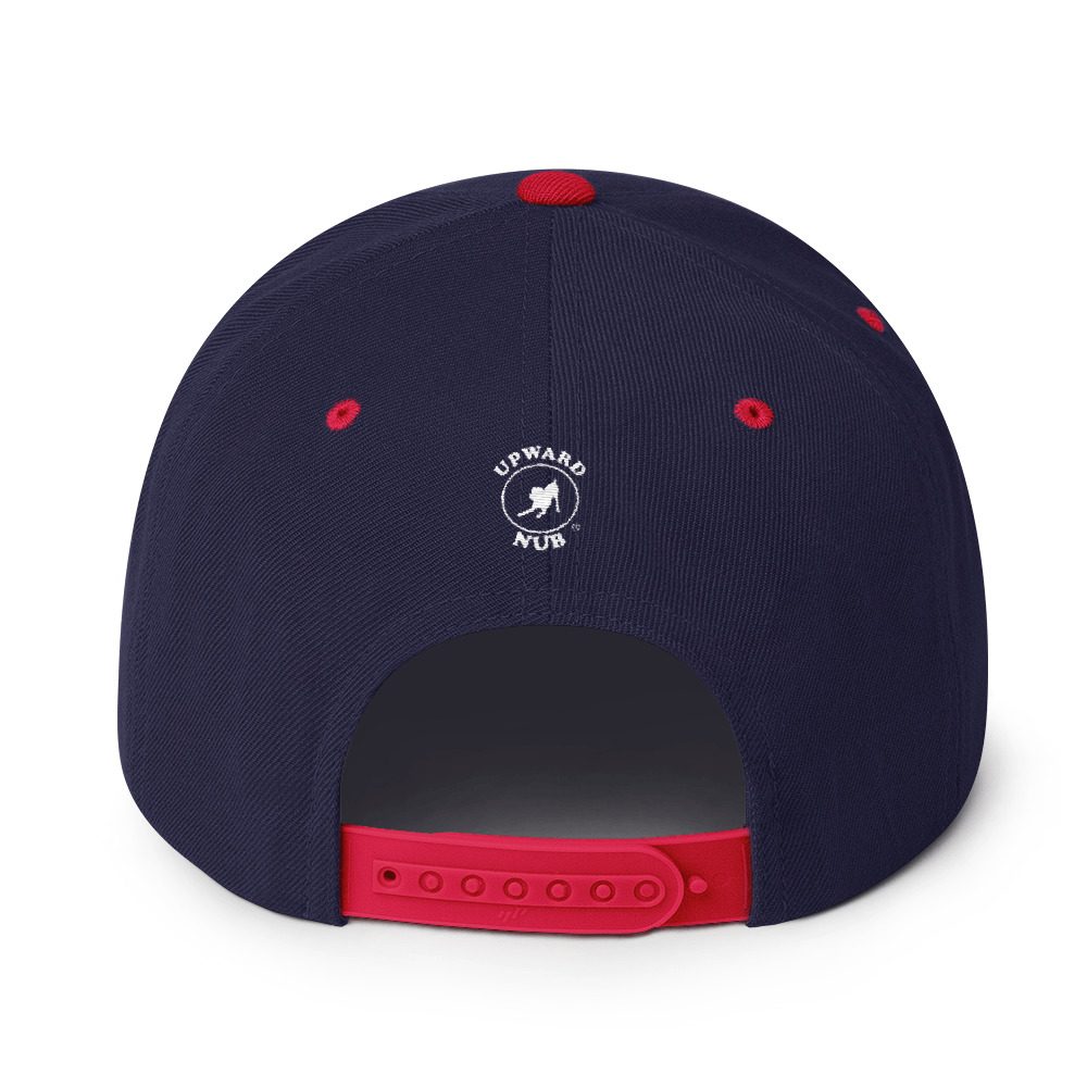 Snapback Hat - Image 20