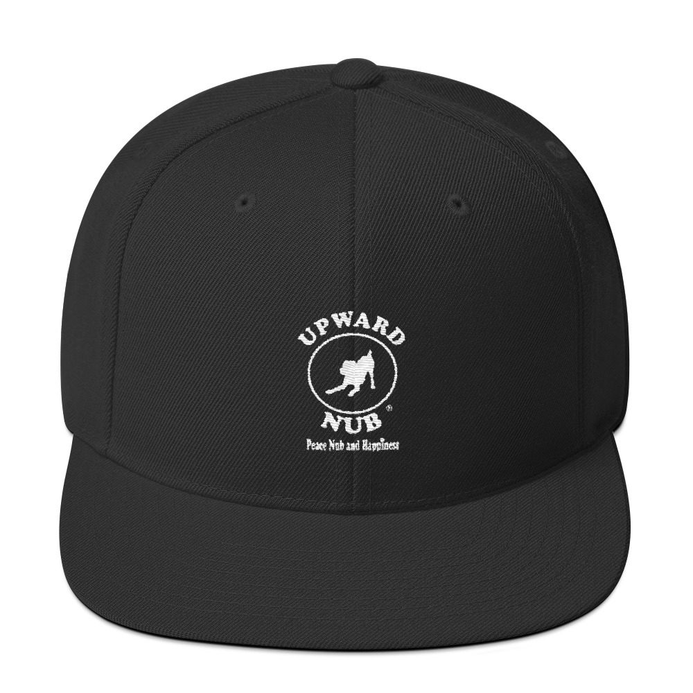 Snapback Hat - Image 7