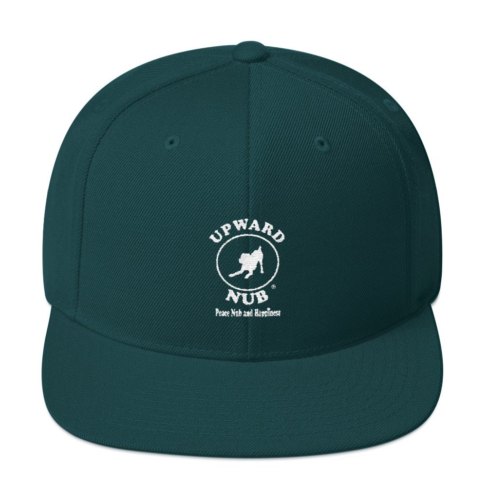 Snapback Hat - Image 21