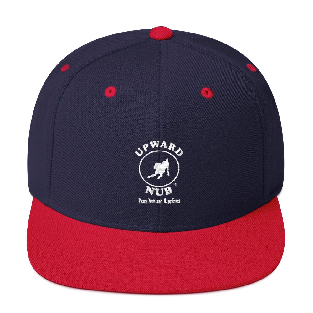 Snapback Hat - Image 19